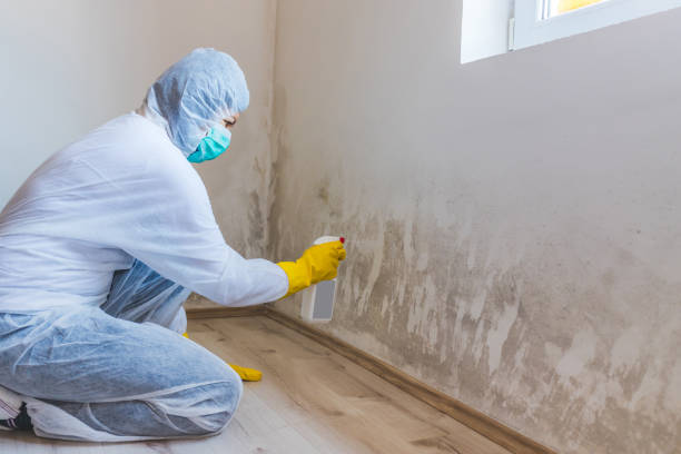 Licensed Bathroom Mold Removal service in Zeeland, MI - WQB Mold Removal