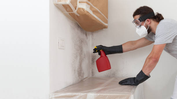 Professional Bathroom Mold Removal technician working in Zeeland, MI
