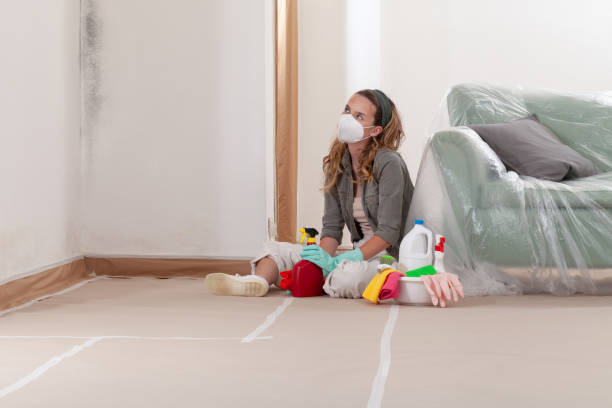 Reliable Bathroom Mold Removal contractor in Zeeland, MI by WQB Mold Removal